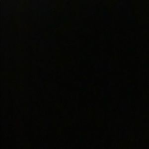 Meet your Posher, Bella